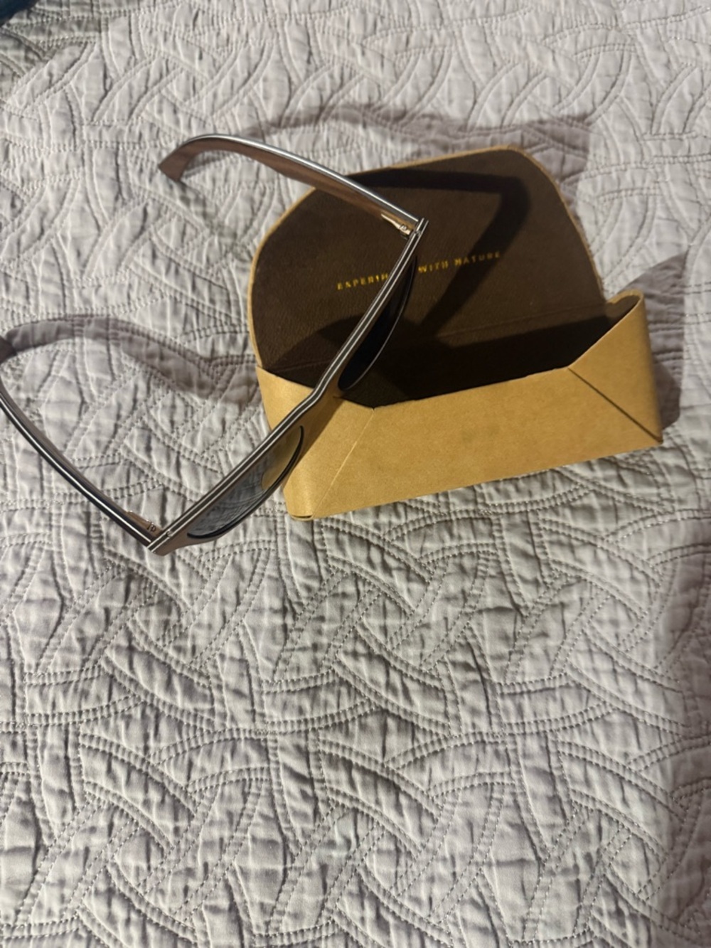 Sleek Silver Metal Sunglasses with Tan Case